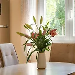 Apartament Markos